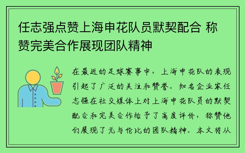 任志强点赞上海申花队员默契配合 称赞完美合作展现团队精神