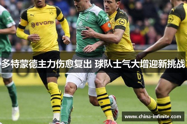 多特蒙德主力伤愈复出 球队士气大增迎新挑战