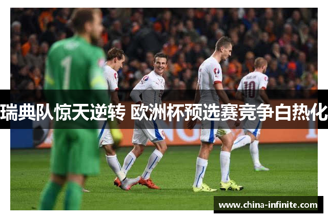 瑞典队惊天逆转 欧洲杯预选赛竞争白热化