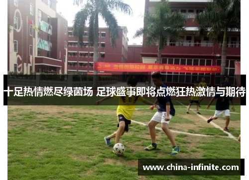 十足热情燃尽绿茵场 足球盛事即将点燃狂热激情与期待