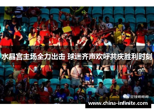 水晶宫主场全力出击 球迷齐声欢呼共庆胜利时刻
