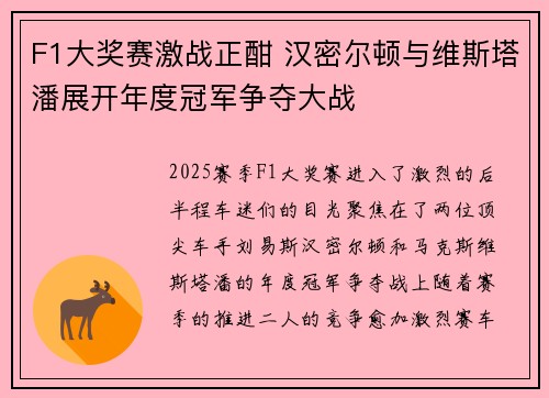 F1大奖赛激战正酣 汉密尔顿与维斯塔潘展开年度冠军争夺大战